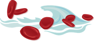 Rote Blutkörperchen schwimmen in Plasma